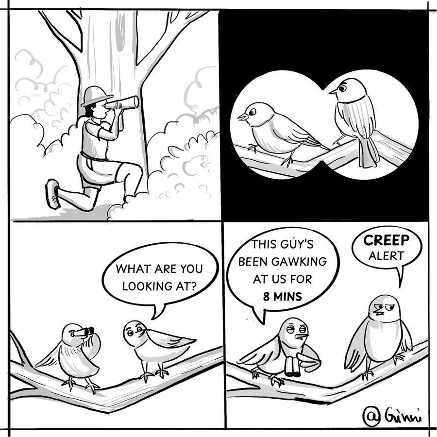 Four-panel comic. A birdwatcher kneels with a spotting scope; through his binoculars, two birds look back. “What are you looking at?” asks one. “This guy’s been gawking at us for 8 mins” — “Creep alert”